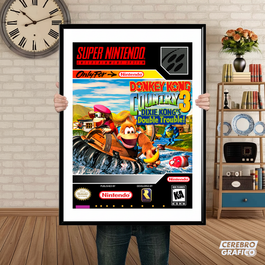 Cuadro SNES Donkey Kong Country III