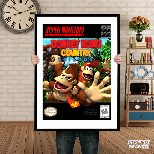 Cuadro SNES Donkey Kong Country Trilogy