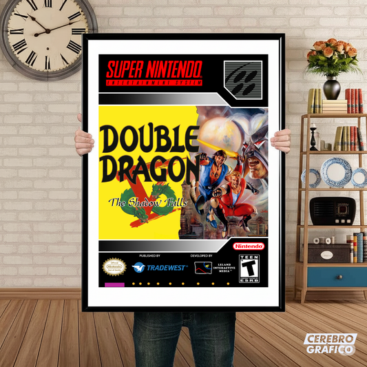 Cuadro SNES Double Dragon V