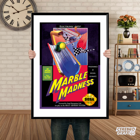Cuadro SEGA Marble Madness