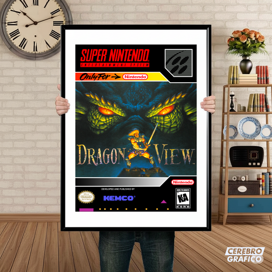 Cuadro SNES Dragon View