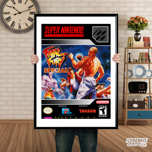 Cuadro SNES Fatal Fury Special
