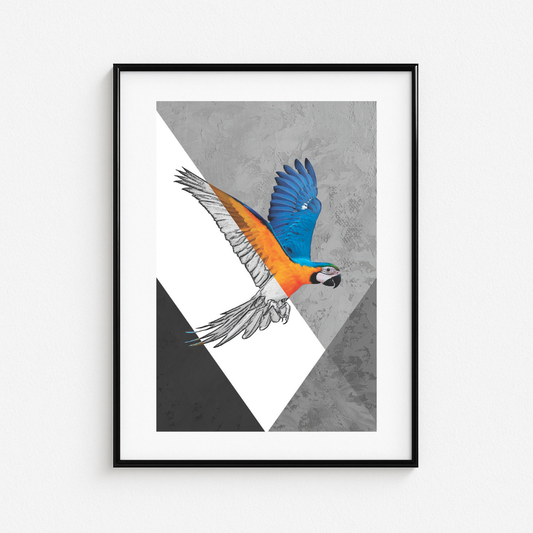Cuadro Animales 81