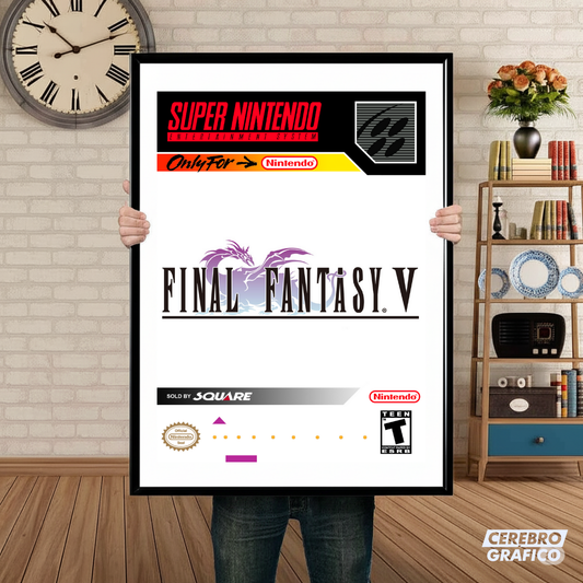 Cuadro SNES Final Fantasy V