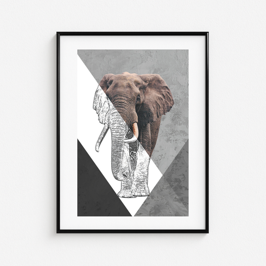 Cuadro Animales 88