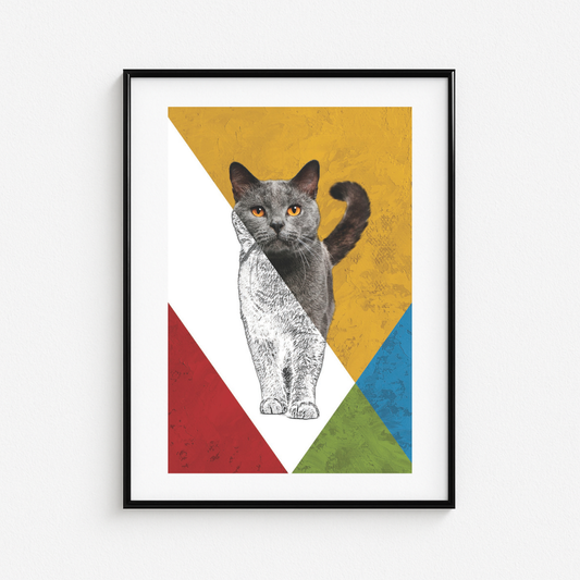 Cuadro Animales 91