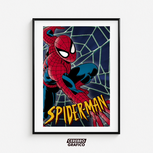 Cuadro Spiderman