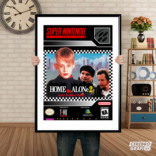 Cuadro SNES Home Alone 2