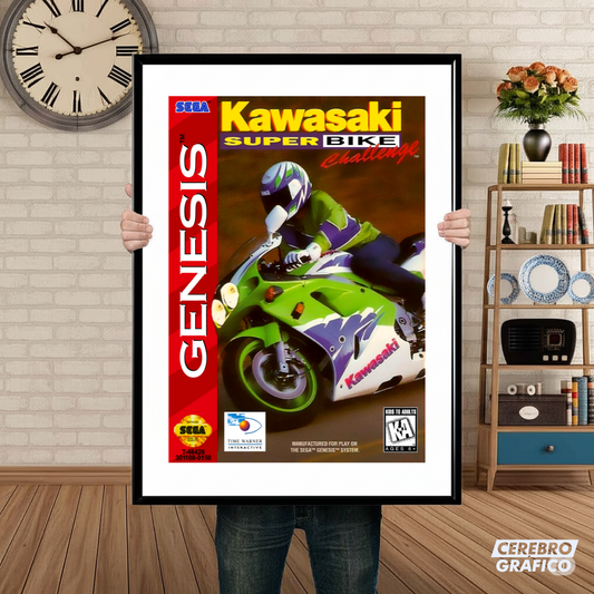 Cuadro SEGA Kawasaki Super Bike
